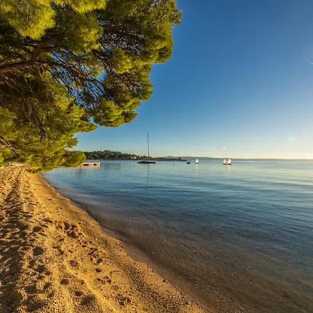 Apartment Beachfront Sea - Srzic